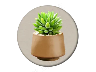 绿色文艺手绘青春小清新多肉装饰,免抠元素