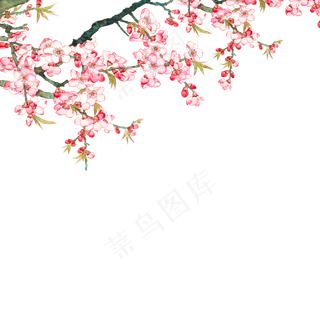 春天粉色鲜花装饰