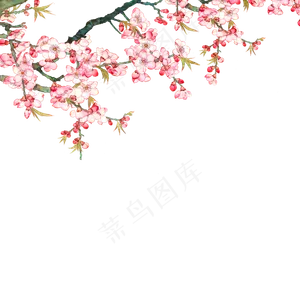 春天粉色鲜花装饰