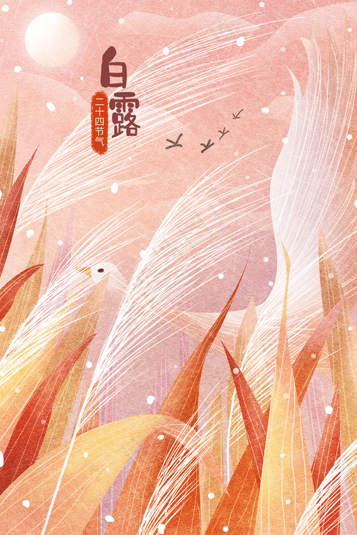 白露寒露露珠配图(3545*5315px 300 dpi )psd模版下载