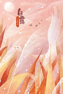 白露寒露露珠配图