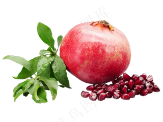 石榴籽红皮石榴