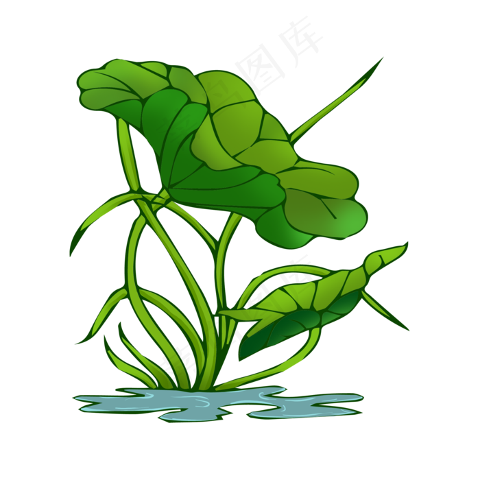 绿色荷花植物(2000X2000(DPI:300))psd模版下载