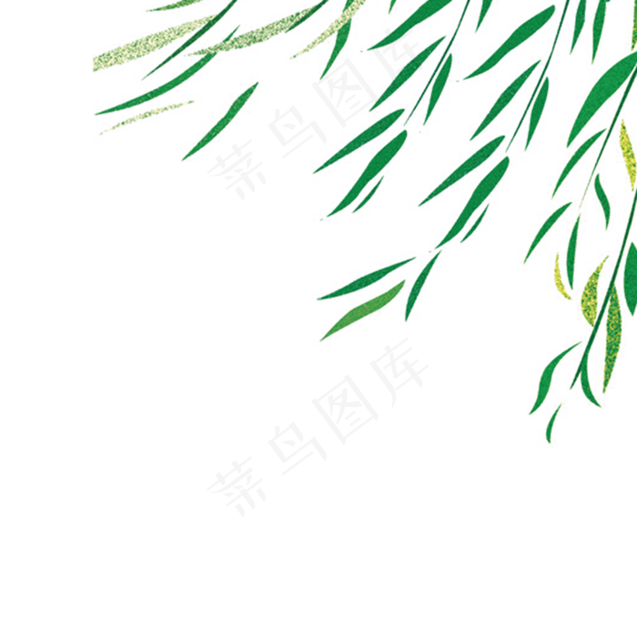 卡通柳树叶PNG下载(2000X2000(DPI:300))psd模版下载