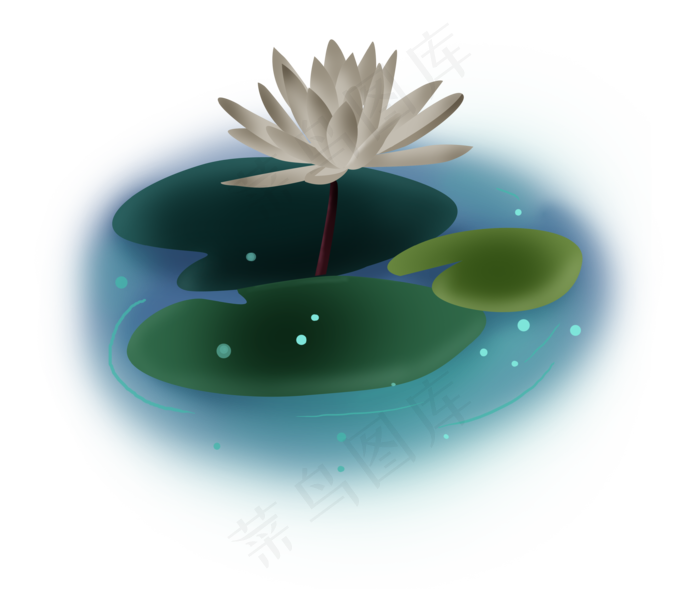 夏至手绘淡白色荷花