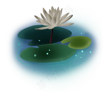 夏至手绘淡白色荷花