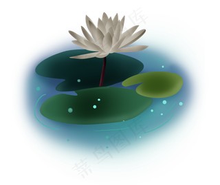 夏至手绘淡白色荷花