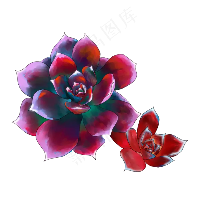 手绘水彩多肉PNG素材,免抠元素(2000X2000(DPI:96))psd模版下载