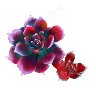 手绘水彩多肉PNG素材,免抠元素