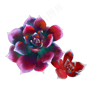 手绘水彩多肉PNG素材,免抠元素