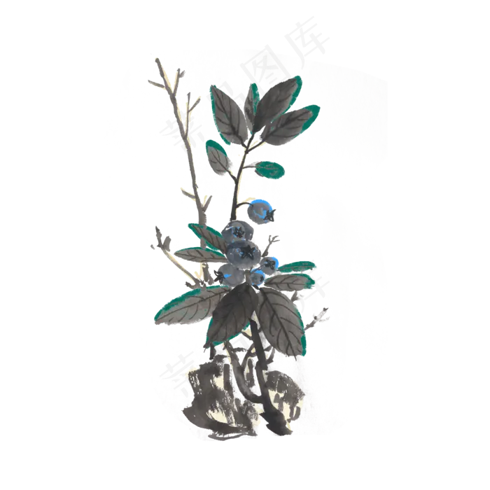 新鲜蓝莓水墨风手绘装饰(4000X4000(DPI:300))psd模版下载