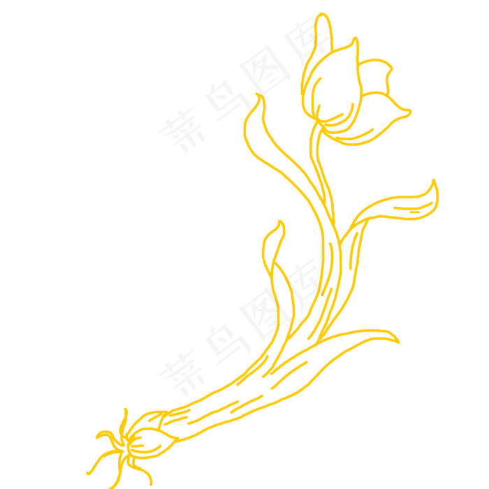 矢量手绘线条线性图形水仙花(2000X2000(DPI:300))psd模版下载