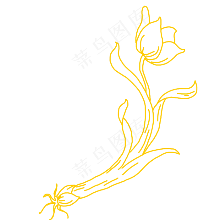 矢量手绘线条线性图形水仙花(2000X2000(DPI:300))psd模版下载