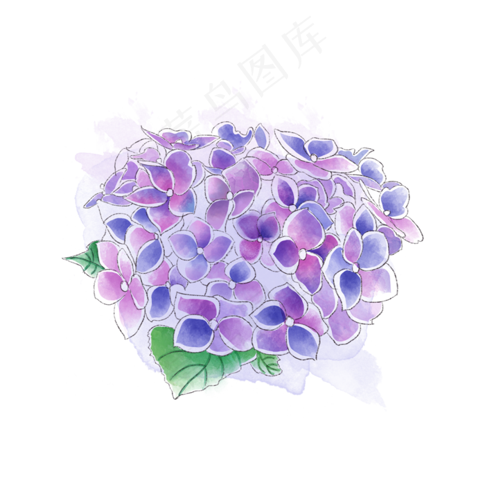 紫色绣球花唯美梦幻*花PNG(2000X2000(DPI:300))psd模版下载