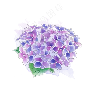 紫色绣球花唯美梦幻*花PNG