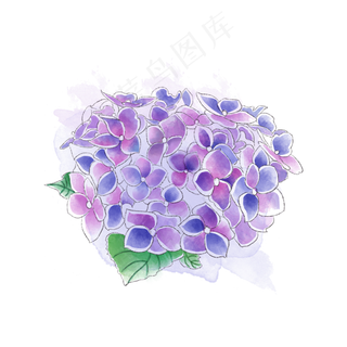 紫色绣球花唯美梦幻*花PNG