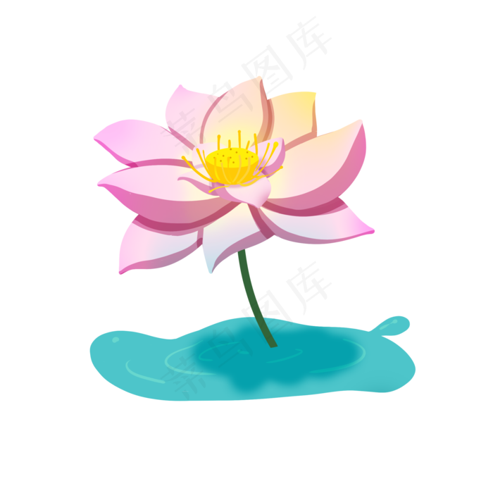 粉色的荷花手绘插画