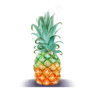 手绘卡通水果菠萝,免抠元素