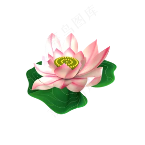 C4D夏日荷花