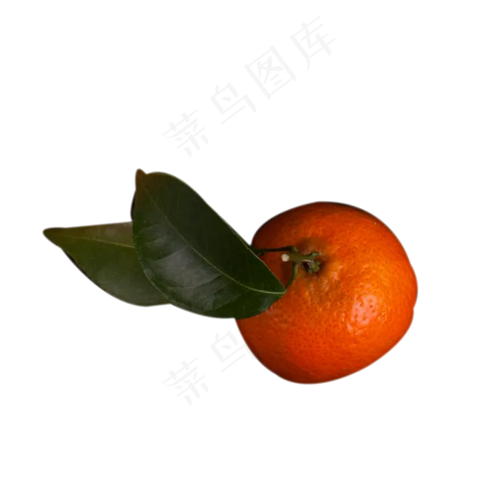 红色的桔子免抠图(2000X2000(DPI:300))psd模版下载
