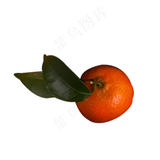 红色的桔子免抠图