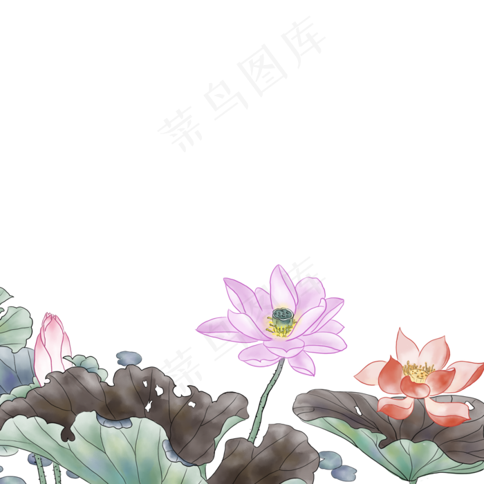 卡通池塘荷叶荷花免抠图(2000X2000(DPI:300))psd模版下载