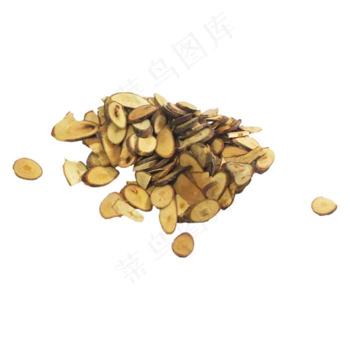 桂枝中药药材,免抠元素(3333*3333px 300 dpi )