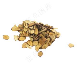 桂枝中药药材,免抠元素