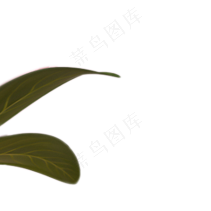 春天绿色草叶下载(2000X2000(DPI:300))psd模版下载