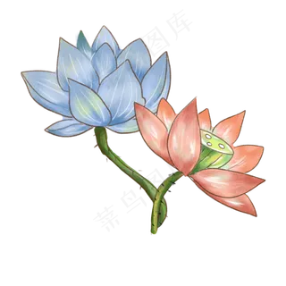 中国风莲花荷花