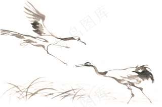 鹤舞水墨画PNG免抠素材