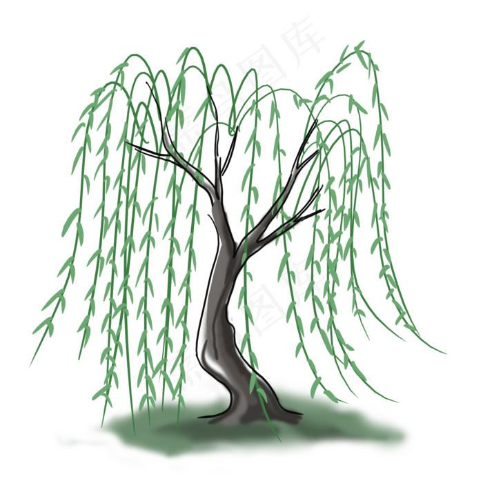 清明节手绘柳树植物
