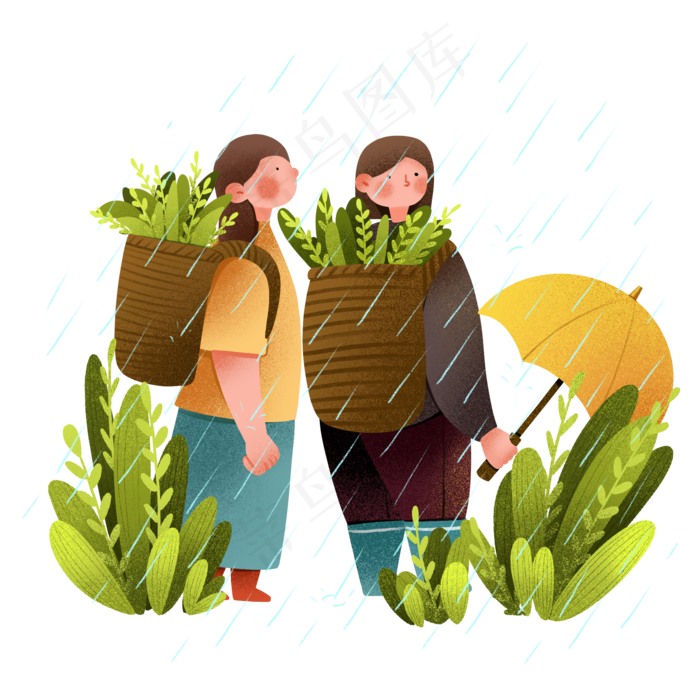 谷雨采茶的小女孩