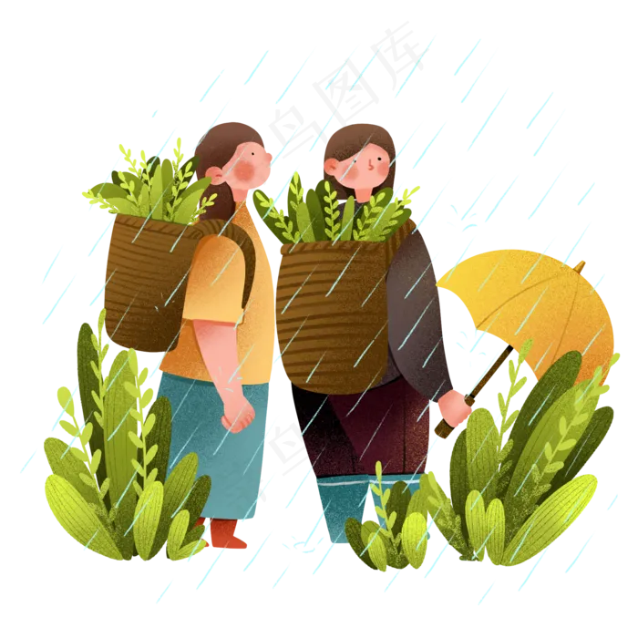 谷雨采茶的小女孩