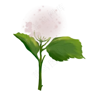 粉色花朵绿色叶子手绘装饰图案