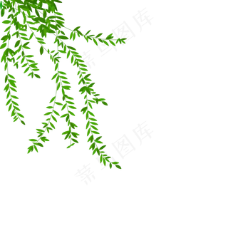 清明节漂浮柳叶嫩绿柳叶