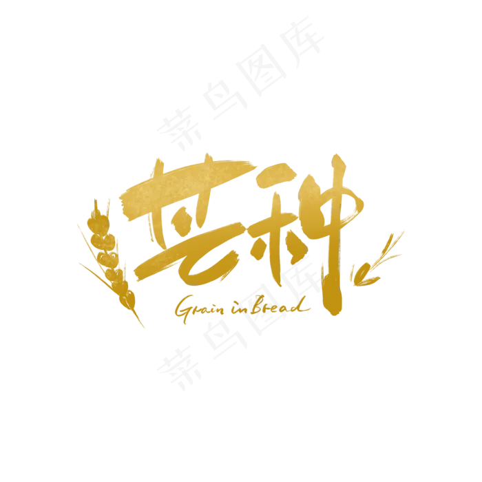 节气芒种金色手写创意字体(3543X3542(DPI:300))psd模版下载