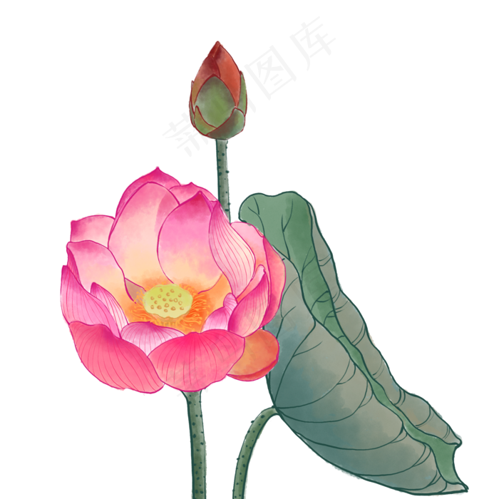 中国风荷花水彩画(2000X2000(DPI:300))psd模版下载