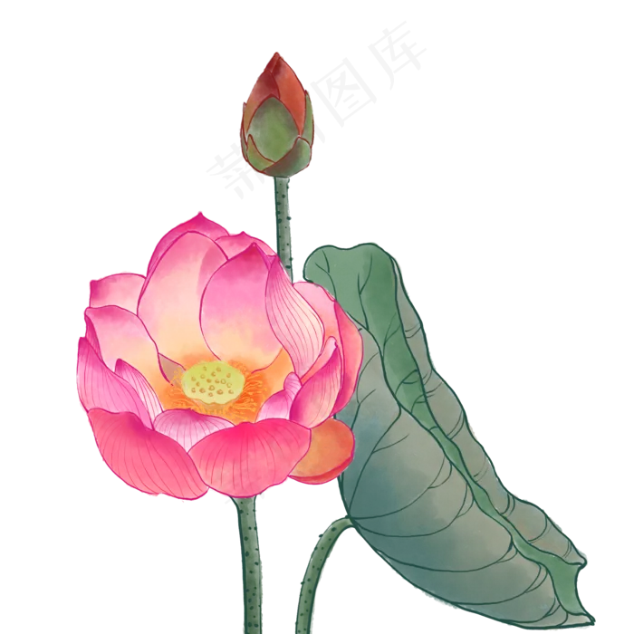 中国风荷花水彩画(2000X2000(DPI:300))psd模版下载