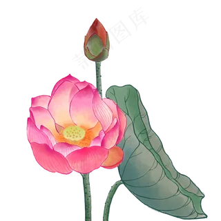 中国风荷花水彩画 中国风荷花水彩画