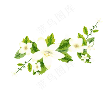 矢量仿真茉莉花花蕾