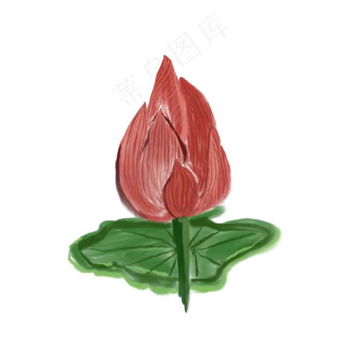 一朵未开放的花免抠装饰插图(2000X2000(DPI:132))psd模版下载