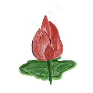 一朵未开放的花免抠装饰插图