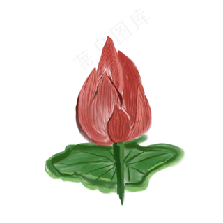 一朵未开放的花免抠装饰插图
