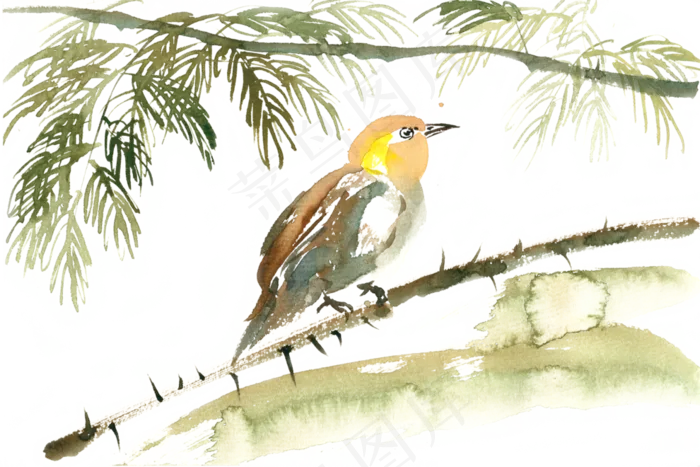榕树下的鸟水彩画PNG免抠素材(3300*2200px 300 dpi )psd模版下载