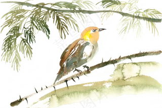 榕树下的鸟水彩画PNG免抠素材