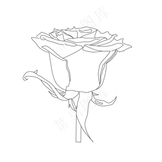 七夕情人节玫瑰简笔花朵简约 七夕情人节玫瑰简笔花朵简约