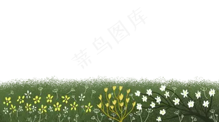 夏日装饰边框野花PNG