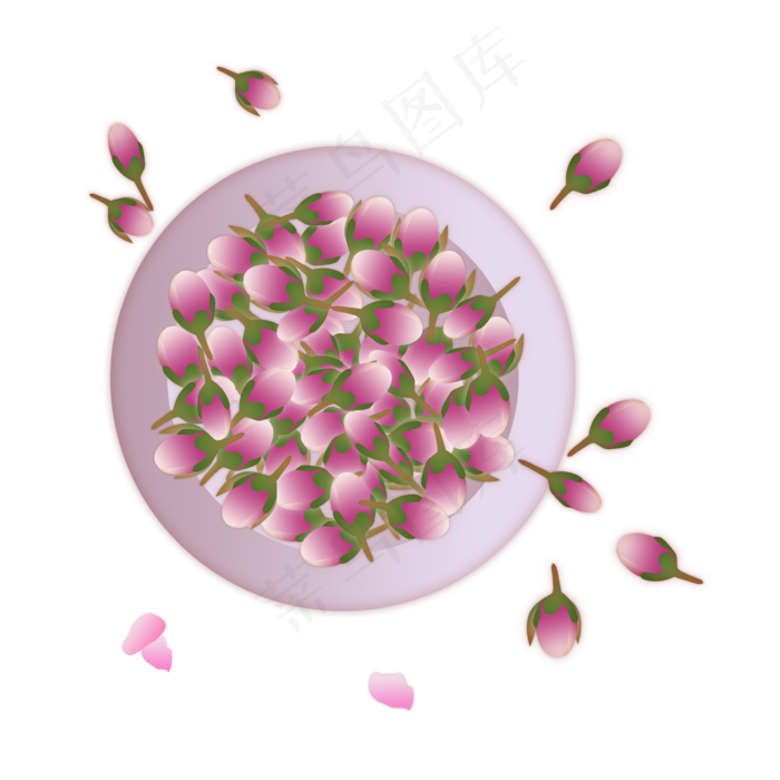 花苞法兰西玫瑰花茶图片素材(2000*2000px 300 dpi )psd模版下载
