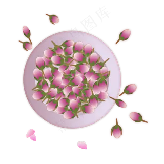 花苞法兰西玫瑰花茶图片素材